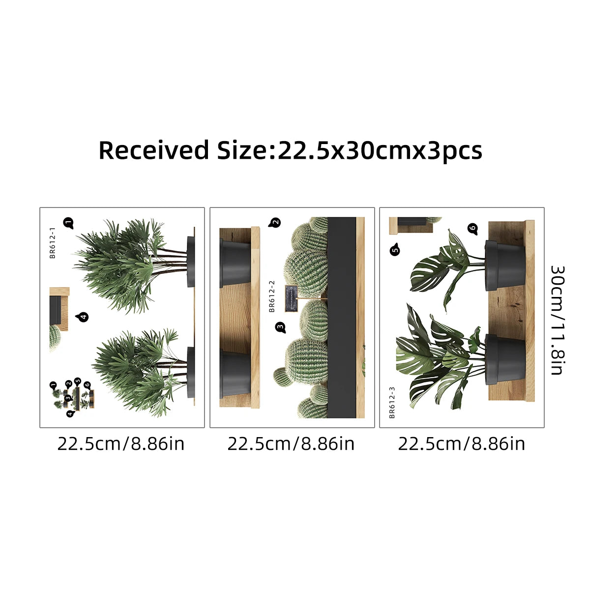 Green Plant Cactus Potted Wall Stickers