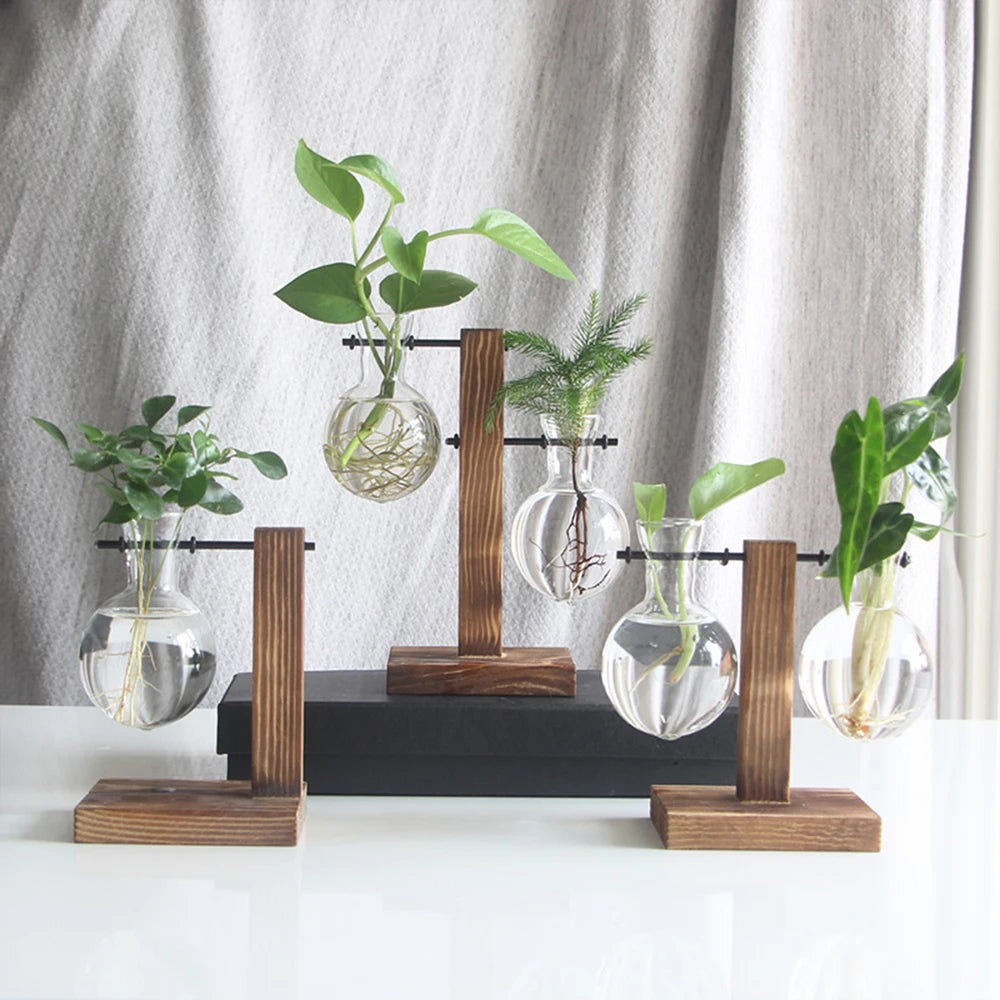 Glass planter vase,
Desktop plant holder,
Bulb vase,
Creative plant display,
Indoor gardening,
Succulent planter,
Modern desk decor,
Transparent glass vase,
Decorative plant container,
Minimalist home decor,
Hydroponic planter,
Small plant vase,
Unique flower vase,
Eco-friendly planter,
Stylish desk accessories,
Flower propagation vase,
Compact desktop planter,
Home office greenery,
Elegant plant display,
Nature-inspired decor,