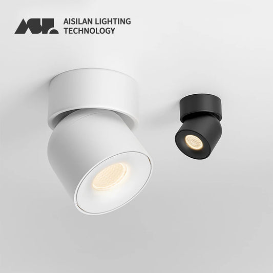 Aisilan LED Rotating Ceiling Lamp