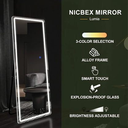 Round Corners Full Body Wall Mounted Mirror