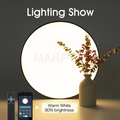 MARPOU Smart ceiling lamp