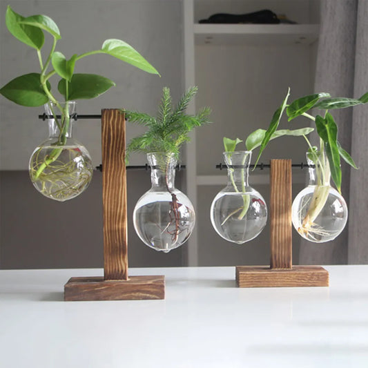 Creative Glass Desktop Planter Bulb Vase